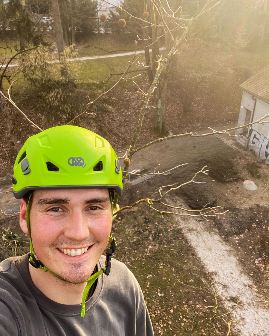 Christof bei der Höhenarbeit im Baum